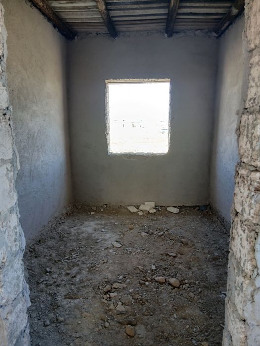 Қойлар мен қойлар емес жер