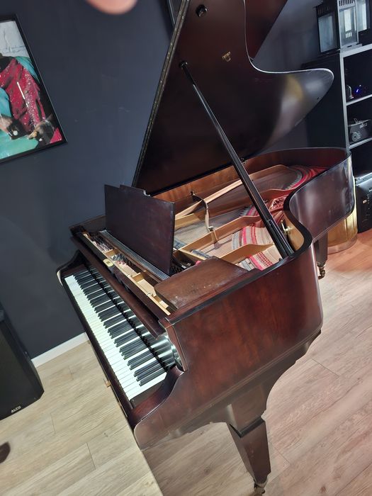 Grandpiano Ibach