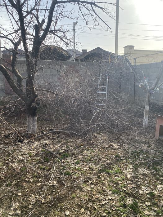 Ағаш сатылады келісмен