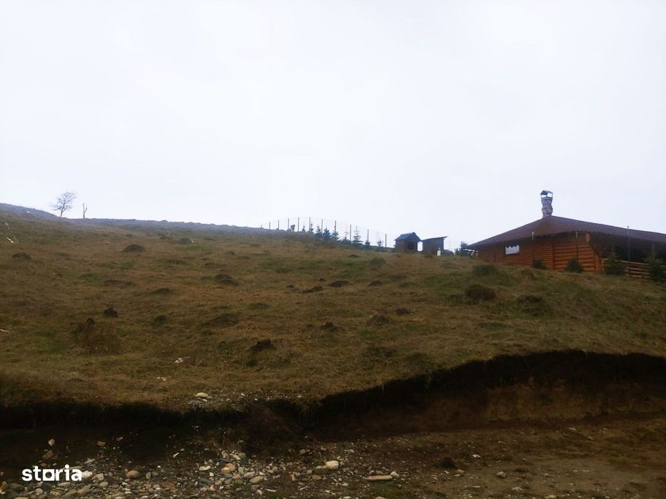 Teren 1600 mp Paltinoasa intravilan