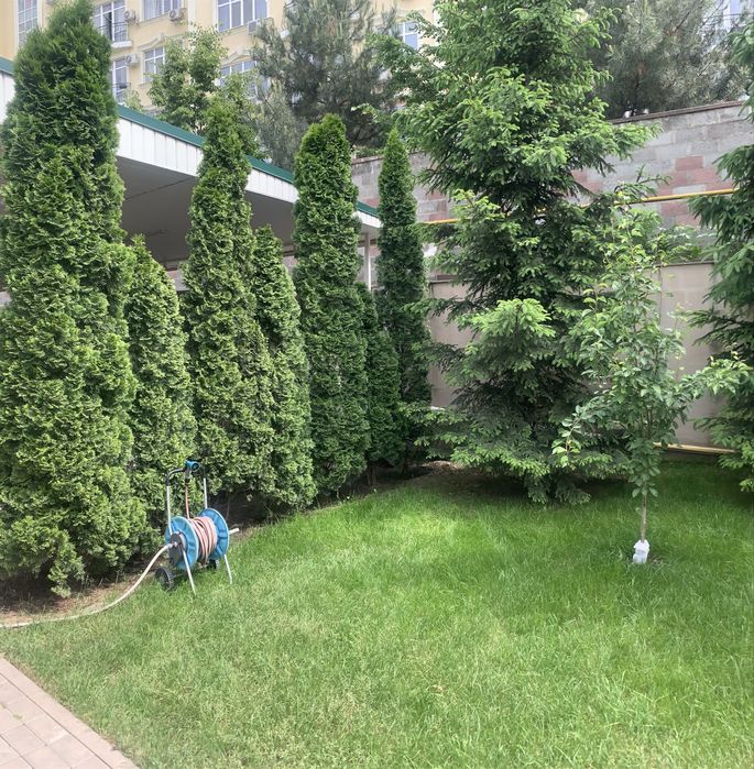 Срочно продается шикарный дом