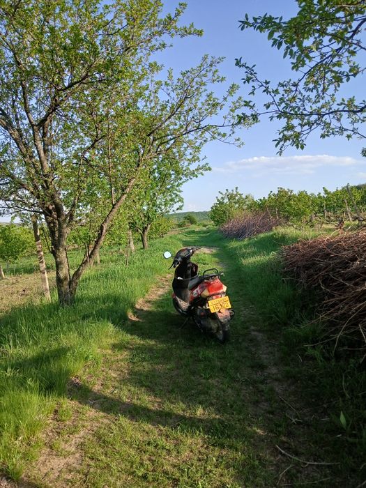 Vand scuter gy6 defect fara acte