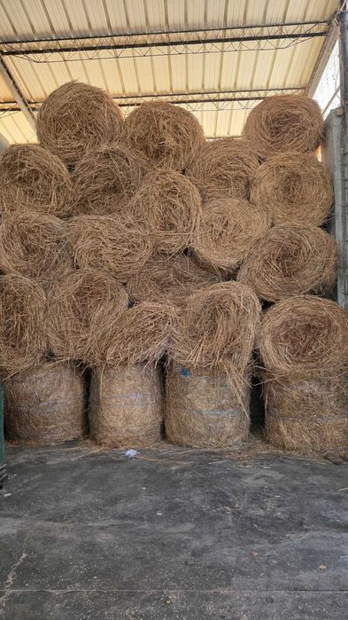 Vand baloti fan lucerna