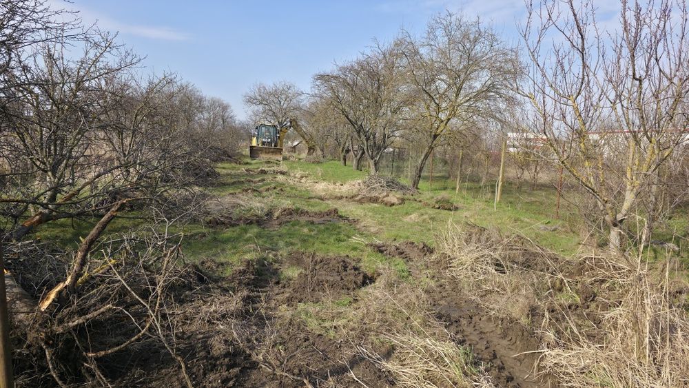 Lemn de prun pentru afumatoare sau de foc