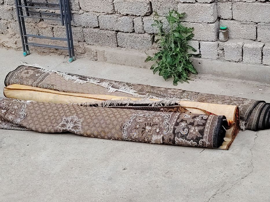 Ковры и паласы из дома