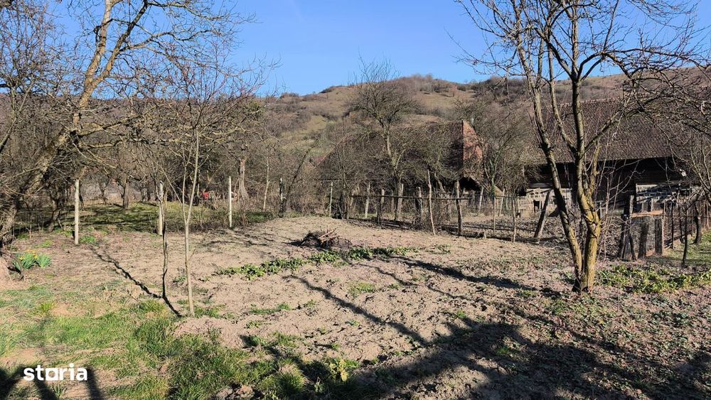 De vanzare 2 case intr-o curte in Silea NirajuluI