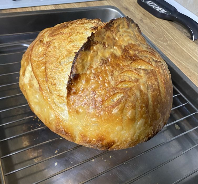 Vand maia uscata -100% naturala, pentru paine de casa cu gust adevarat