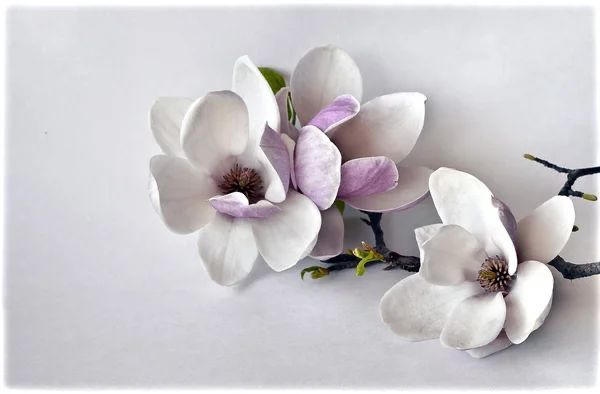 Продам свадебное платье