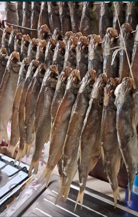 Вяленая рыба соленная