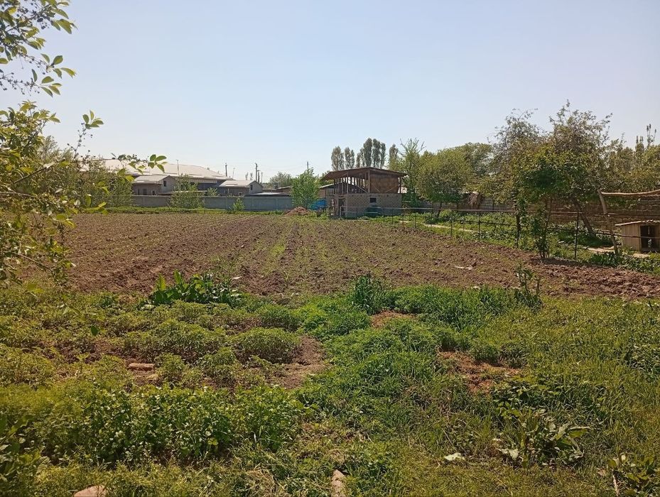 Yer sotiladi 8 sotix