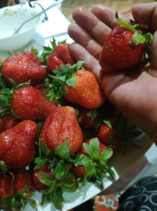 Продам участок с домом в центре