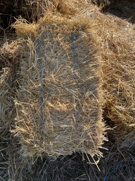 Baloti de baie mai multe detali la tel