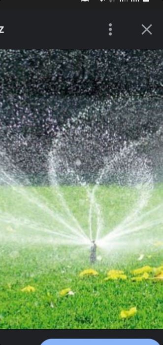 Gazonga suv sepadigan fantan nasatkalari  sotiladi.