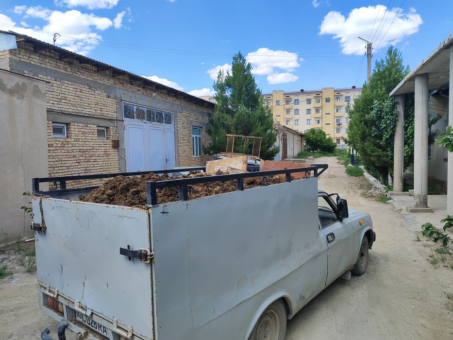 Мол нури сотилади