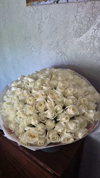 Продам цветы свежие