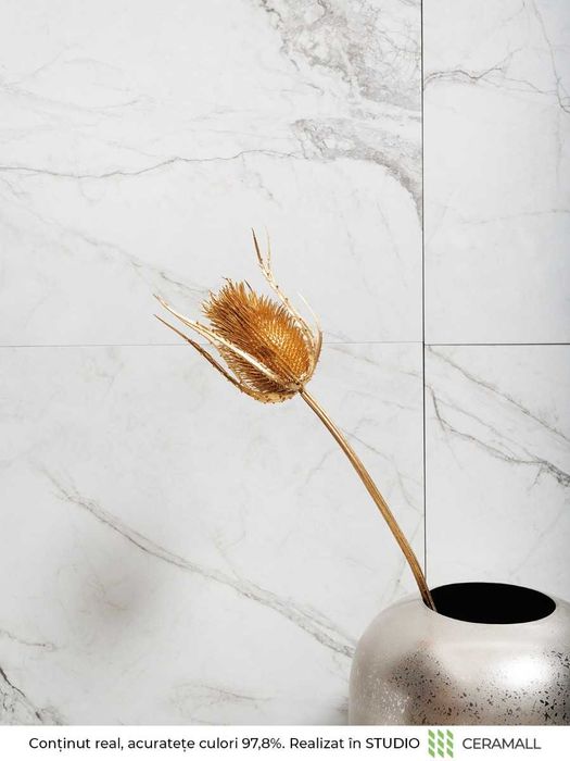 Gresie 26001 60X120 Mata