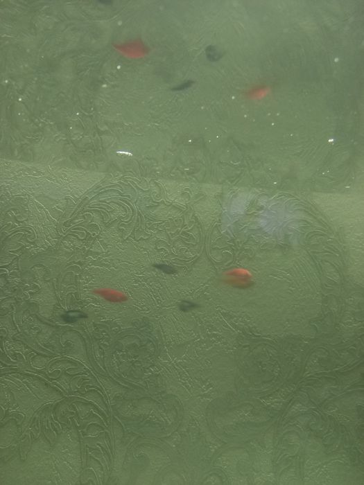 А 31 с гарантией