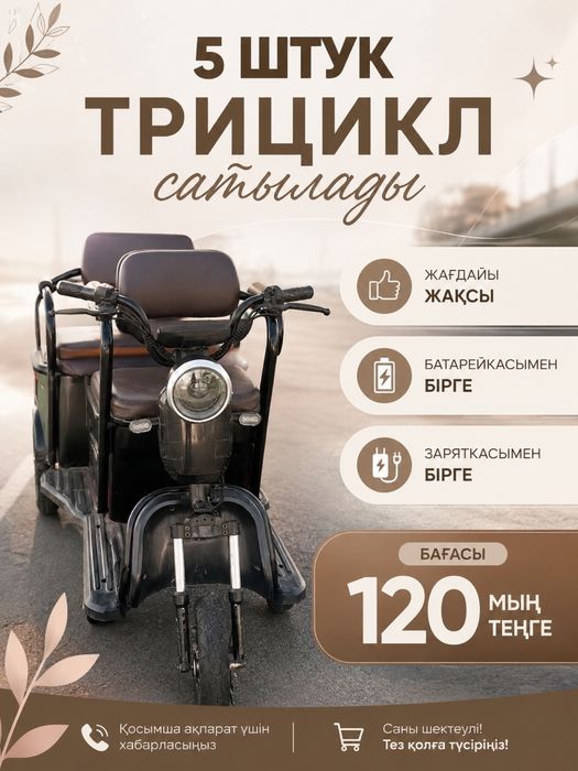 Трицикл,Тиімді бағада