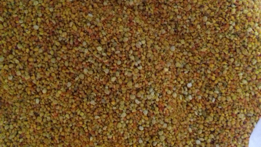 Vand polen crud sau  uscat , miere diversa, ceara, propolis