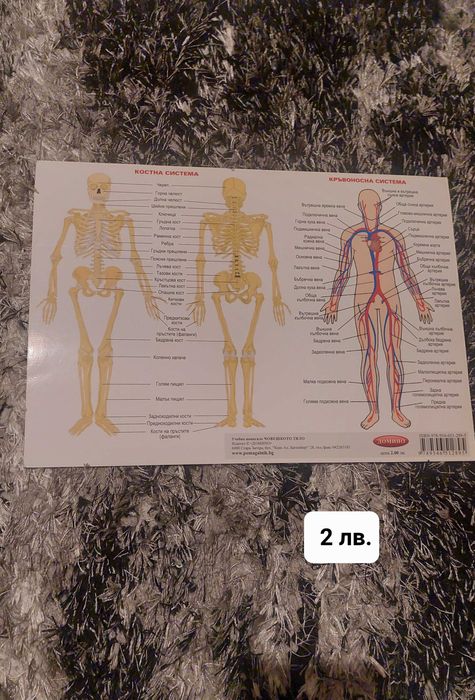 Помагалници по различни предмети от 3. до 12. клас