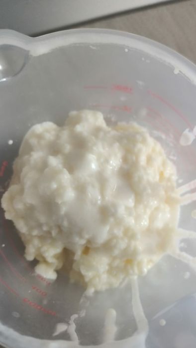 Ciupercă Tibetană De Chefir 1 Lingură