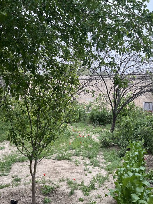 СРОЧНО 17 соттық жер үймен сатылады