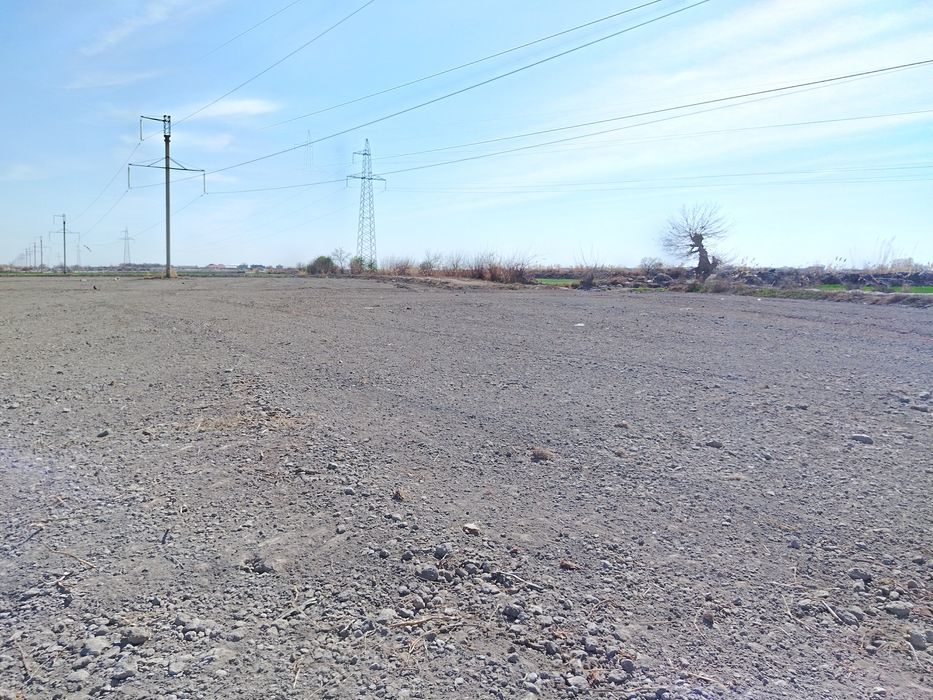 G'ozlar sotildi. Soglom