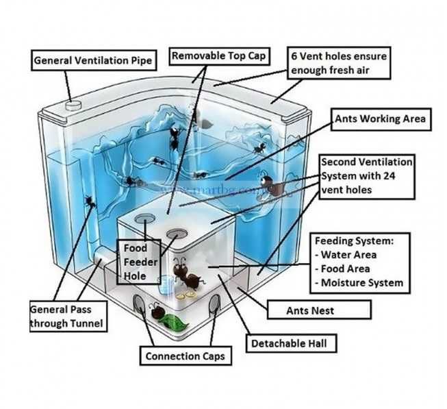 Ферма за мравки с LED осветление - подходяща за деца
