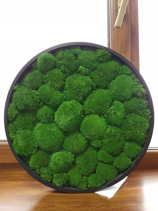 Tablou Rotund din muschi 45 cm