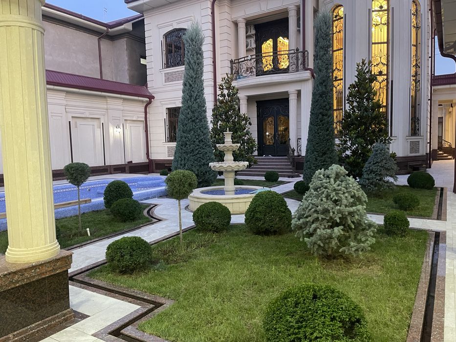 Арчалар доктори СКИДКА