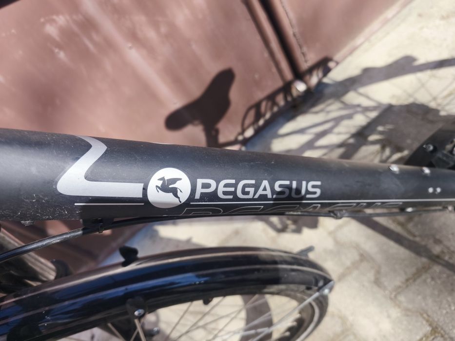 Bicicletă Pegasus Lichid