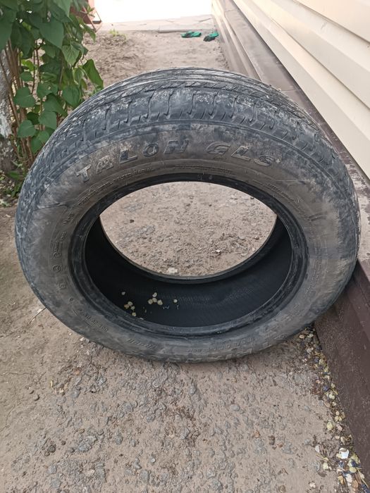 Продам шина р 14 летний