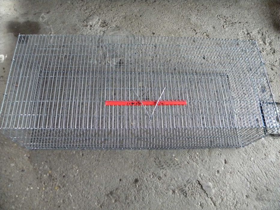 Custi transport si expozitie