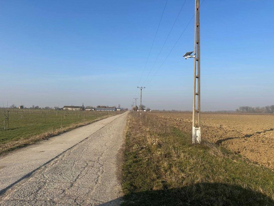 Livadă de nuc: Afacere agricolă cu potențial ridicat – 74,9 ha irigate