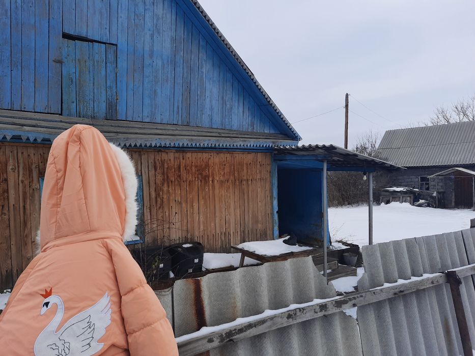 Дом  п. Прогресс  ул Линеиная