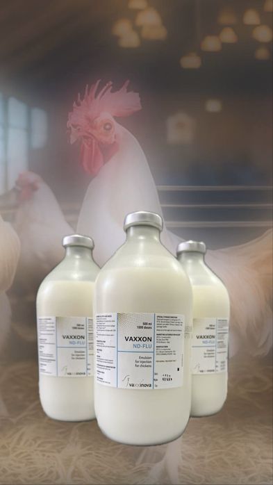 Вакцина для птиц Н9N2+ND