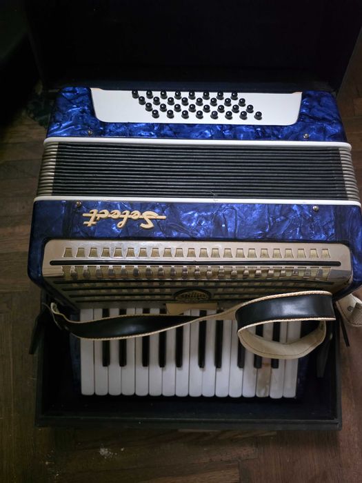 Acordeon romanesc Timis Select