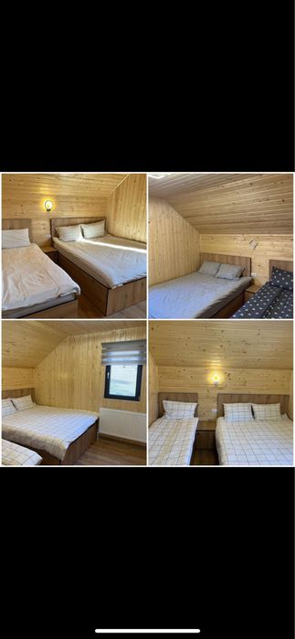 Cabana de inchiriat cu ciubar Cabana Amazon Bistra Muresului