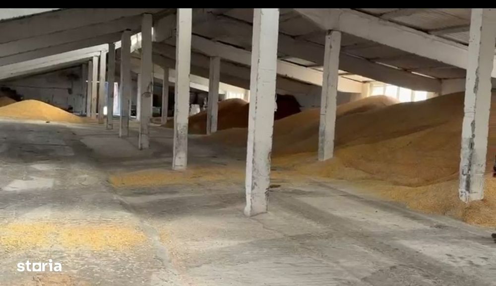 17.000 mp teren intravilan+hale 2.000 mp-Drumul Tărpiului  BISTRITA