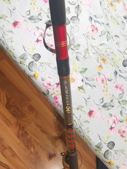 Комплект за риболов на сом