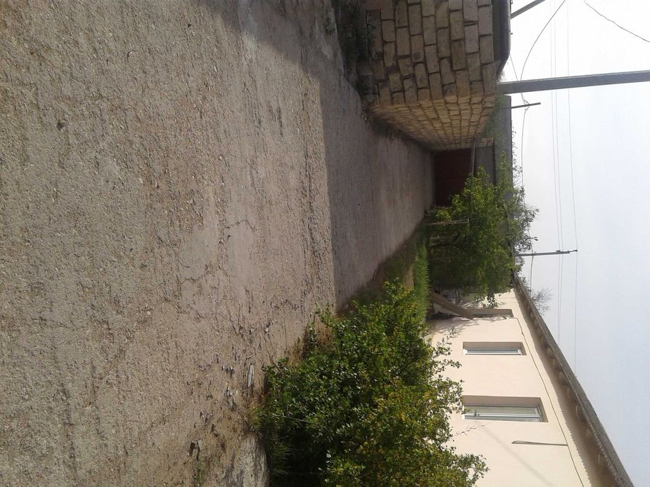 Участок и здание