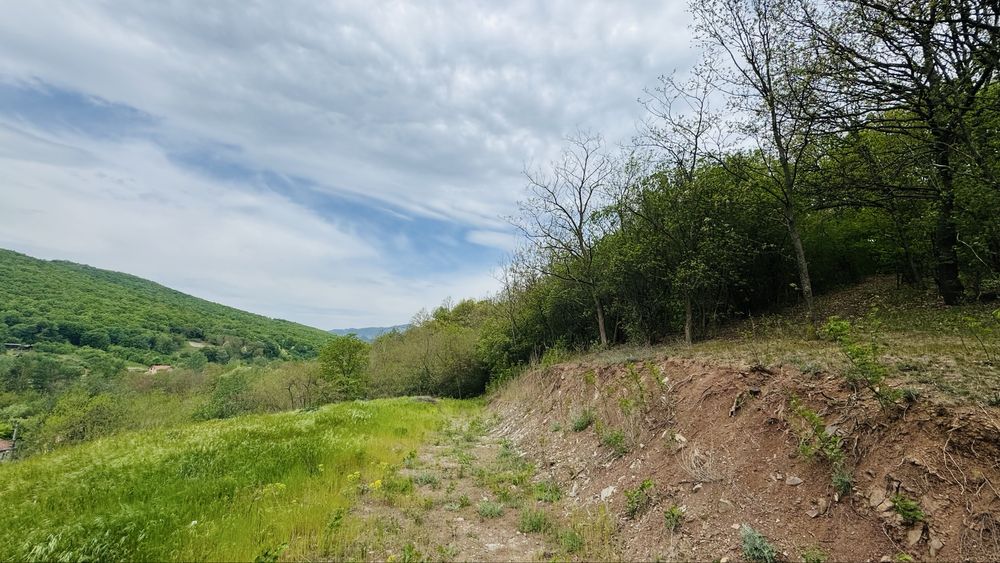 Teren 4300 mp intravilan Ampoita Panoramic - langa padure - apa+curent