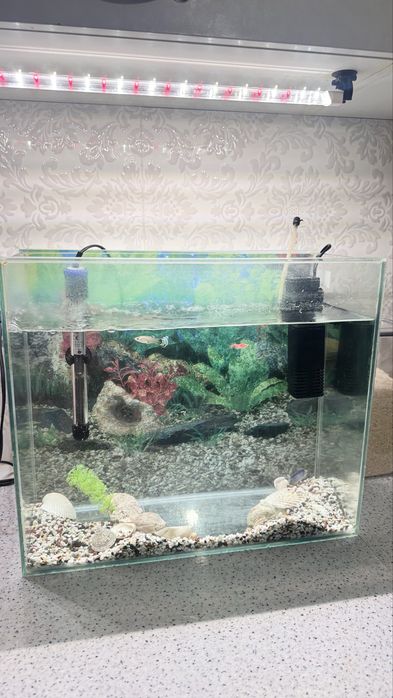 Аквариум большой