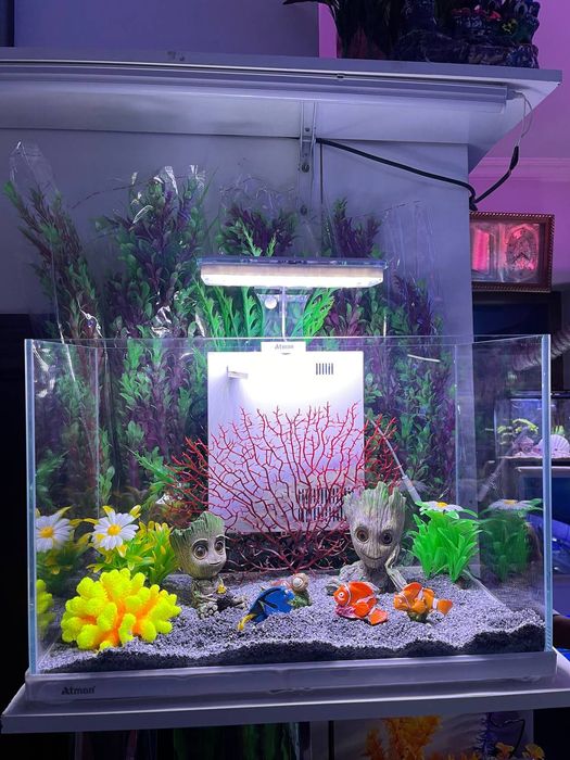 Akvarium Dokoni Sergili va mirobod