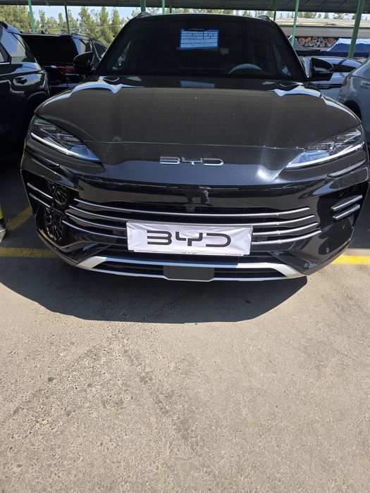 BYD -150 Champion 2024