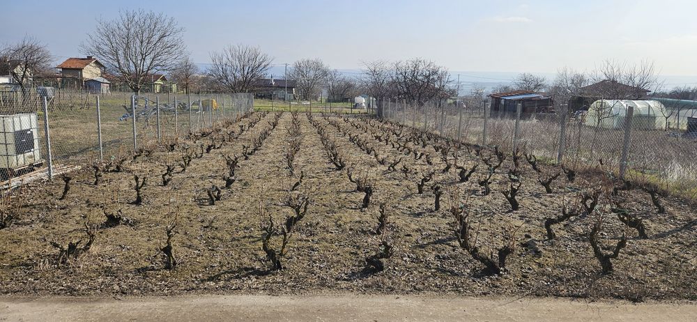 Продава се Парцел в Варна, Зимно кино Тракия - 492 кв.м за 38 €/кв.м - Снимка #2