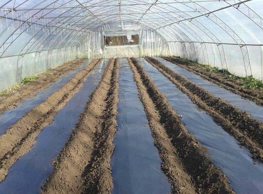 Мулч-Висококачествено найлоново фолио за мулчиране