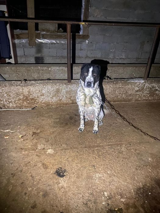 Сатылады срочна урғаш