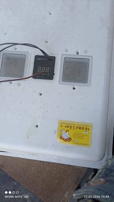 Инкубатор сатылады