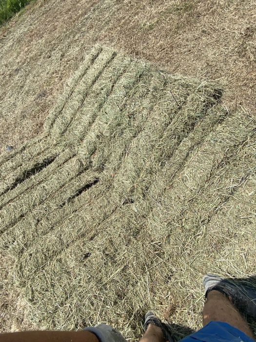 Baloti de fan, anul 2025